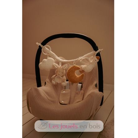 Catena di attività per passeggini Newborn LD8411 Little Dutch 4