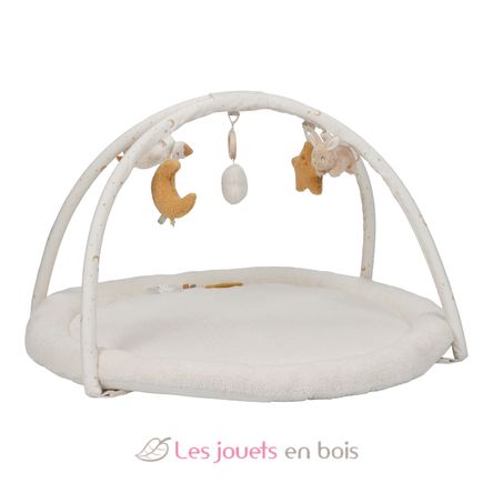 Tappetino da gioco attività Newborn LD8417 Little Dutch 14
