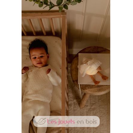 Peluche oca musicale e luminosa LD8440 Little Dutch 8