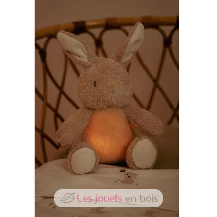 Peluche coniglio musicale e luminosa LD8441 Little Dutch 3