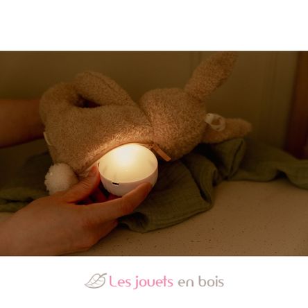Peluche coniglio musicale e luminosa LD8441 Little Dutch 9