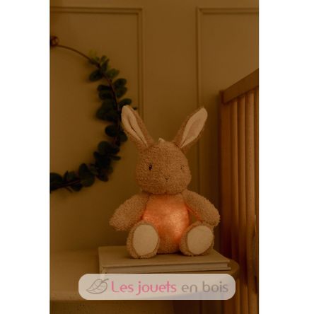 Peluche coniglio musicale e luminosa LD8441 Little Dutch 10