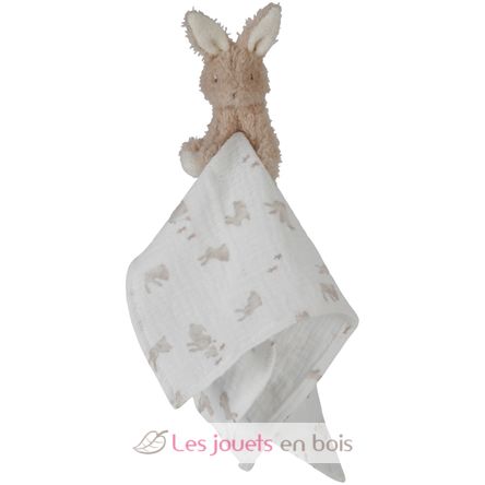 Set regalo Baby Bunny LD8859 Little Dutch 5