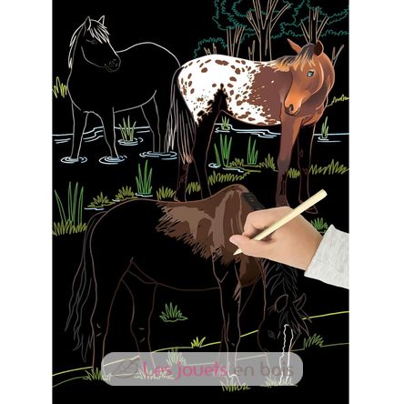 Scratch Art I cavalli PI-7822 Piccolia 2