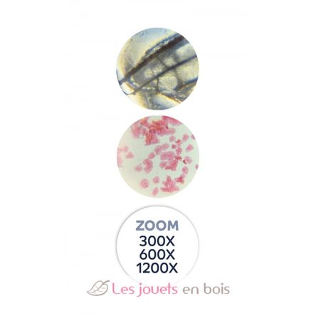 Microscopio 40 esperimenti BUK-MR800 Buki France 4
