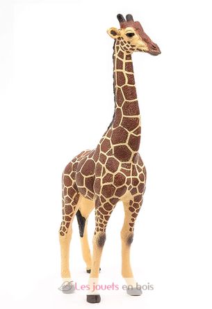 Figurina di giraffa maschio PA50149-3612 Papo 7