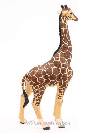 Figurina di giraffa maschio PA50149-3612 Papo 6