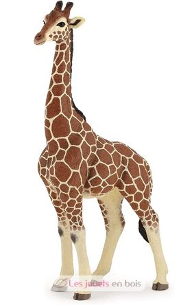 Figurina di giraffa maschio PA50149-3612 Papo 5