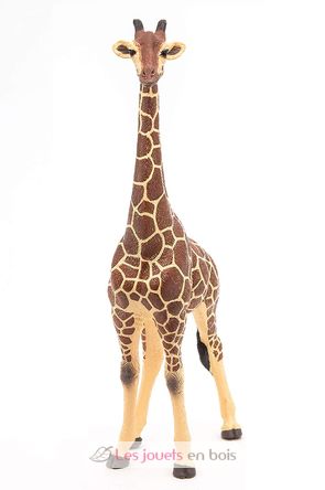 Figurina di giraffa maschio PA50149-3612 Papo 3