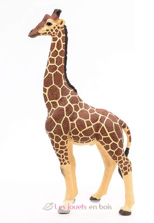 Figurina di giraffa maschio PA50149-3612 Papo 1