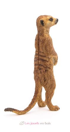 Figurina di suricato in piedi PA50206 Papo 4