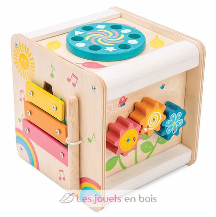 Piccolo cubo di attività LTV-PL105 Le Toy Van 1