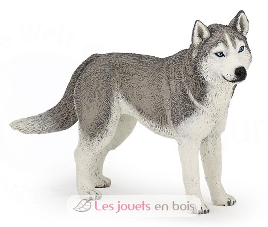 Figurina di Husky siberiano PA54035-3964 Papo 1