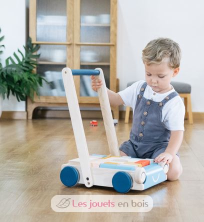 Carrello da passeggio Tenderness PT5100 Plan Toys 2