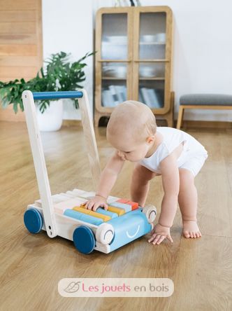 Carrello da passeggio Tenderness PT5100 Plan Toys 6