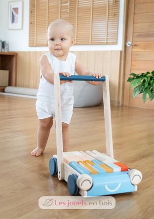 Carrello da passeggio Tenderness PT5100 Plan Toys 8