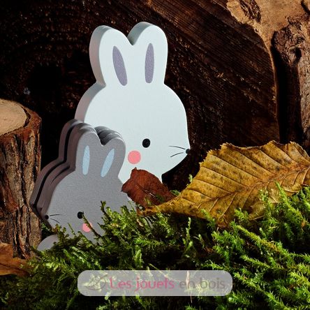 Animali in legno da impilare e contare V7125 Vilac 7