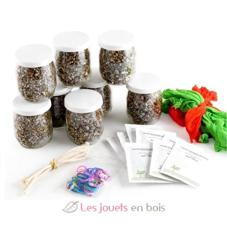 Fai da te - Fare crescere i capelli al Signor Erba RC-143193 Radis et Capucine 3