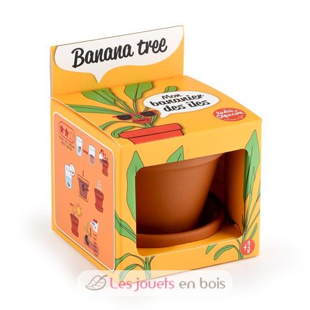 Coltivo il mio albero di banane RC-014265 Radis et Capucine 1