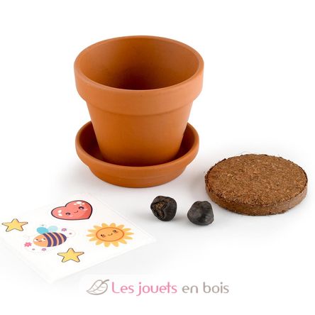 Coltivo il mio albero di banane RC-014265 Radis et Capucine 4