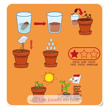 Coltivo il mio fagiolo gigante RC-140967 Radis et Capucine 3