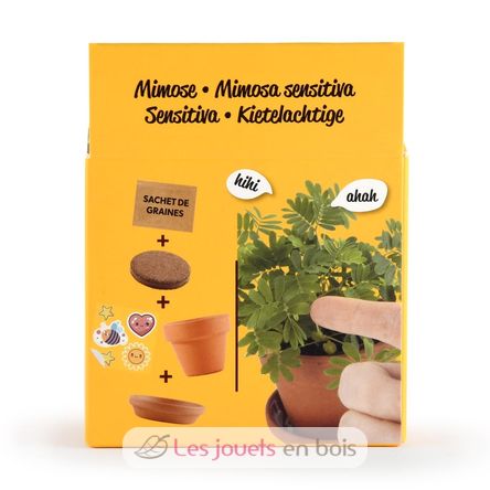 Faccio un salto sulla Mimosa pudica RC-025965 Radis et Capucine 5
