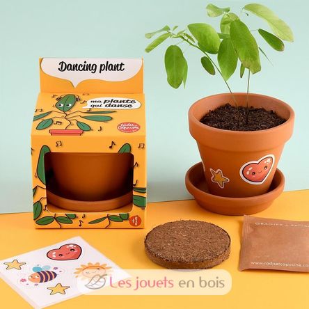 Coltivo la mia pianta danzante RC-028733 Radis et Capucine 3