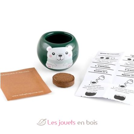 Il mio albero di Natale da coltivare RC-143304 Radis et Capucine 3