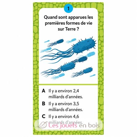 Atlante dei Dinosauri SJ-307568 Sassi Junior 3