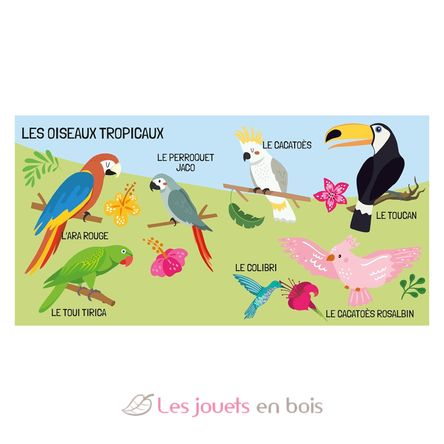 Libro e puzzle Gli uccelli SJ-329331 Sassi Junior 4