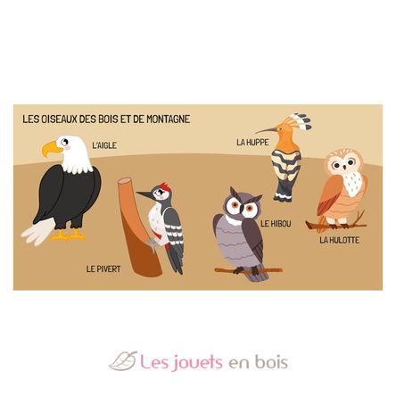 Libro e puzzle Gli uccelli SJ-329331 Sassi Junior 5