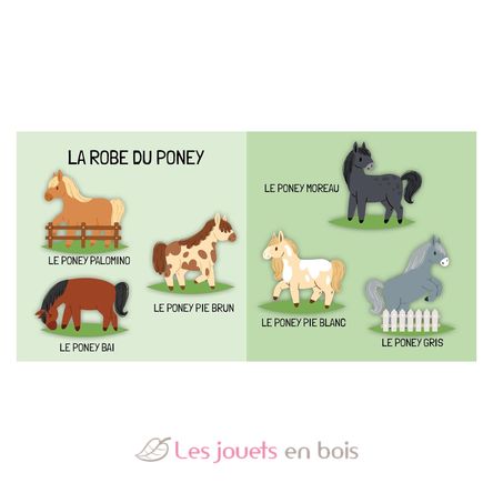 Libro e puzzle I pony SJ-329898 Sassi Junior 4