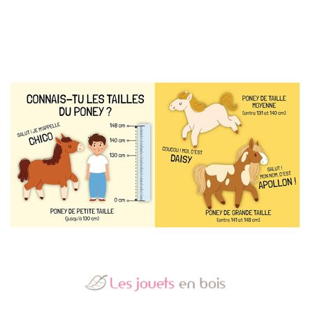 Libro e puzzle I pony SJ-329898 Sassi Junior 5