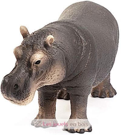Ippopotamo SC-14814 Schleich 3
