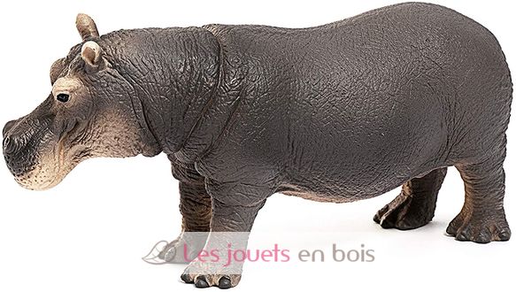 Ippopotamo SC-14814 Schleich 4