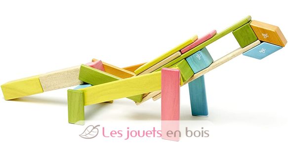 Set di 24 pezzi di tinte TG-24P-TNT-306T Tegu 10