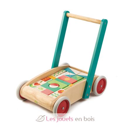 Carrello da passeggio con blocchi colorati TL8464 Tender Leaf Toys 4