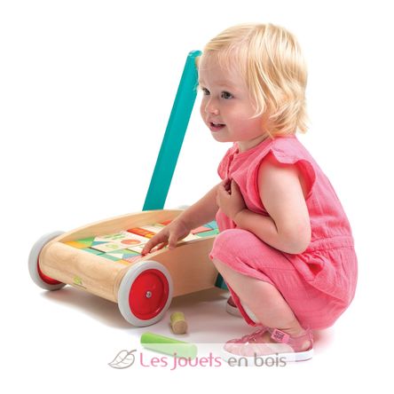 Carrello da passeggio con blocchi colorati TL8464 Tender Leaf Toys 5