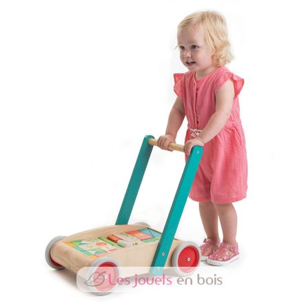 Carrello da passeggio con blocchi colorati TL8464 Tender Leaf Toys 6