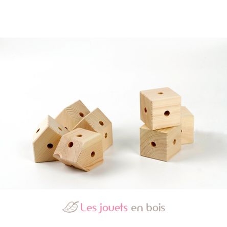 Famiglia Trigonos Bio Arbaro TG-FAMILY-ARBARO Trigonos 7