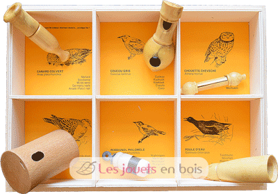 Chiamate - 6 nidi Uccelli europei QBC-6nids-oiseaux d'europe Quelle est Belle Company 1